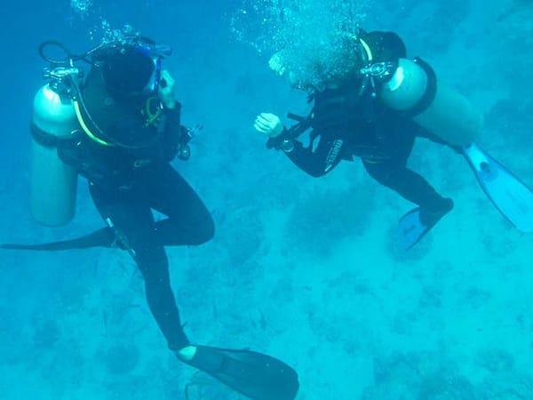 divers