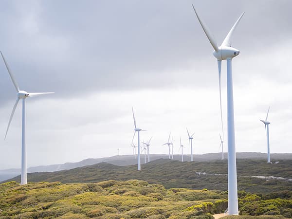photo of wind turbines