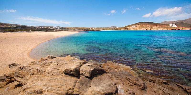 ftelia paralia