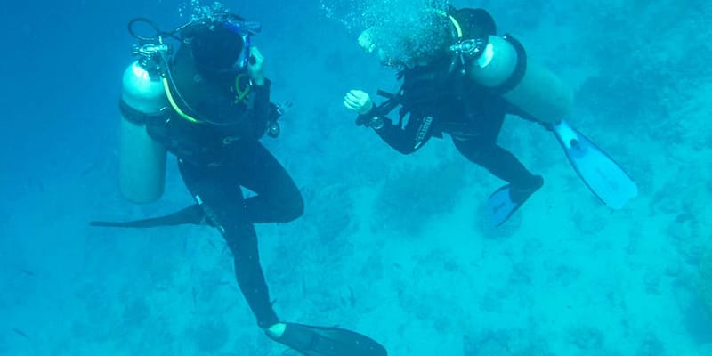 divers